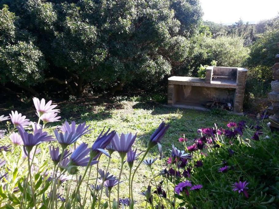 L' Elicriso, A Pochi Passi Dal Mare Con Giardino Privato - The Elicriso, A Few Meters From The Sea, With Private Garden Apartamento Stintino Exterior foto