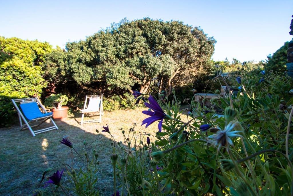 L' Elicriso, A Pochi Passi Dal Mare Con Giardino Privato - The Elicriso, A Few Meters From The Sea, With Private Garden Apartamento Stintino Exterior foto