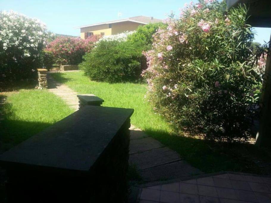 L' Elicriso, A Pochi Passi Dal Mare Con Giardino Privato - The Elicriso, A Few Meters From The Sea, With Private Garden Apartamento Stintino Exterior foto
